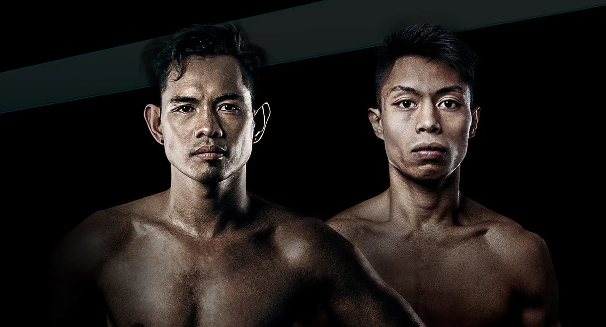 Nonito Donaire vs. Reymart Gaballo