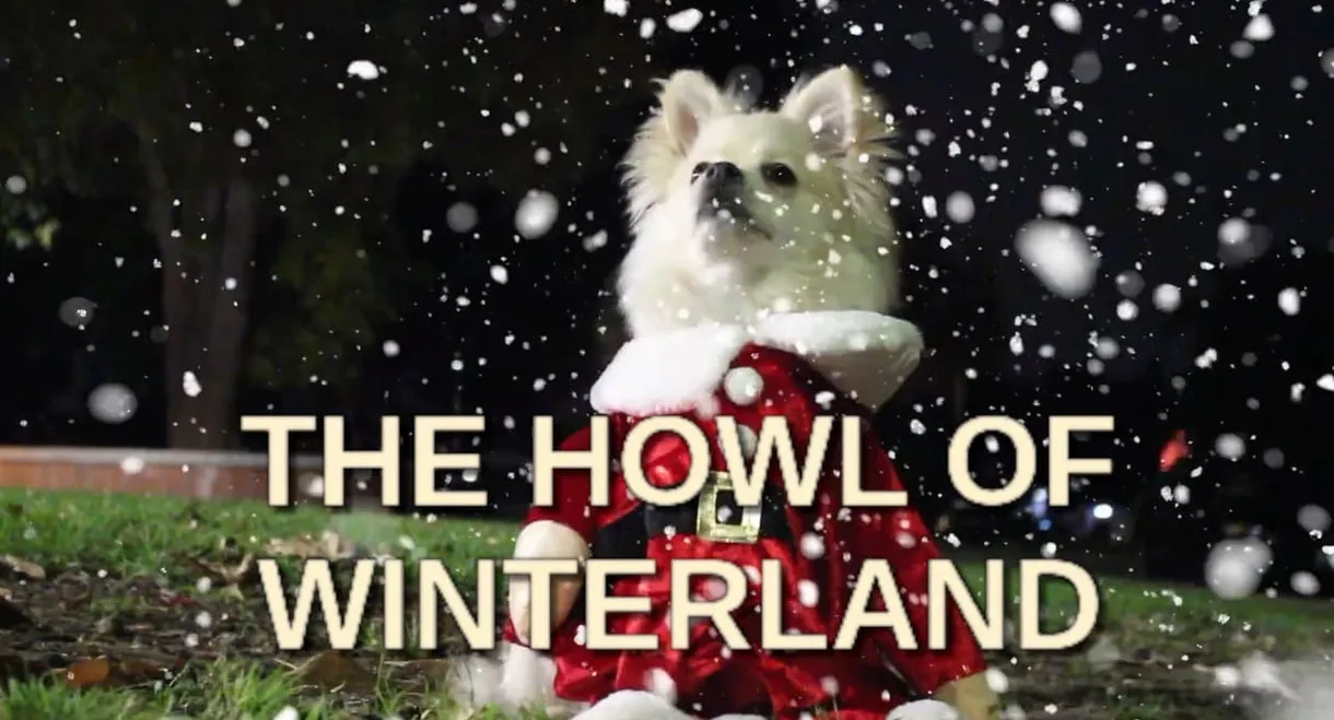 The Howl of Winterland