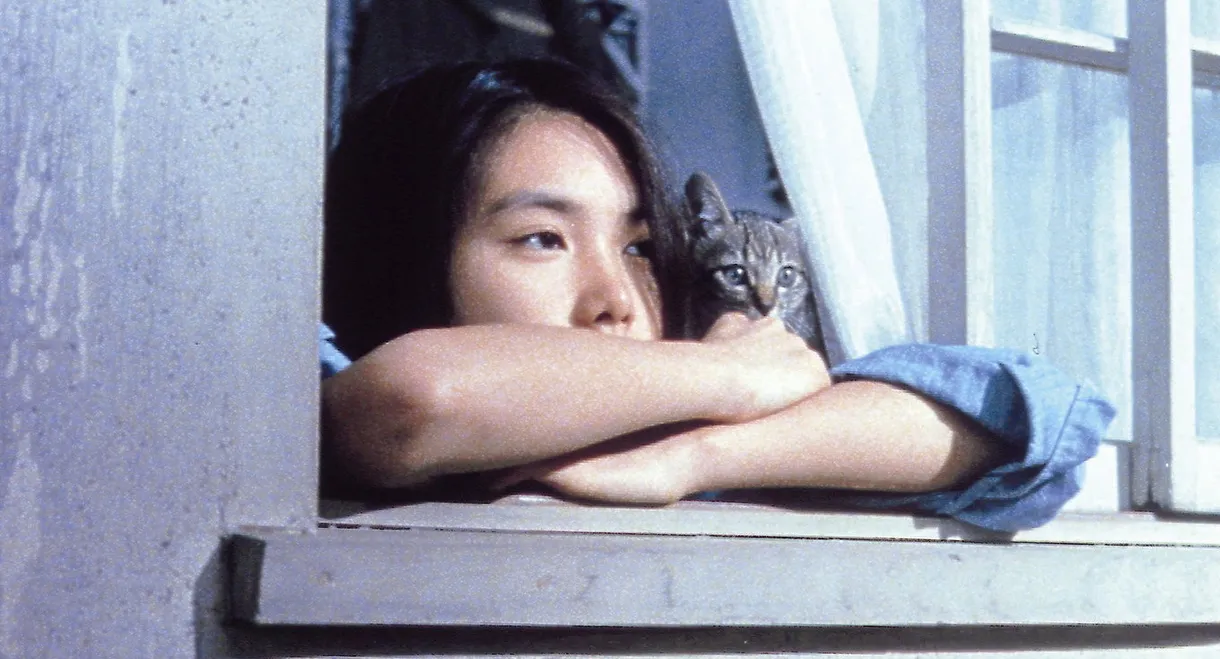 Play it, Boogie-Woogie