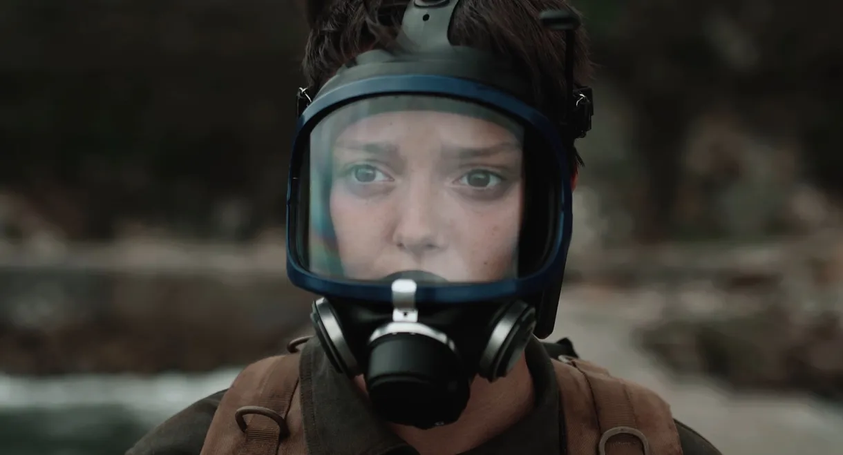 Where the Seagulls Sleep