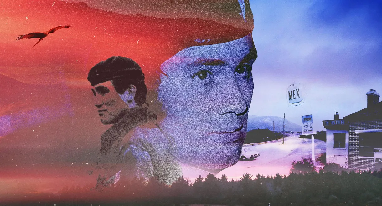 The Disappearance of Captain Nairac