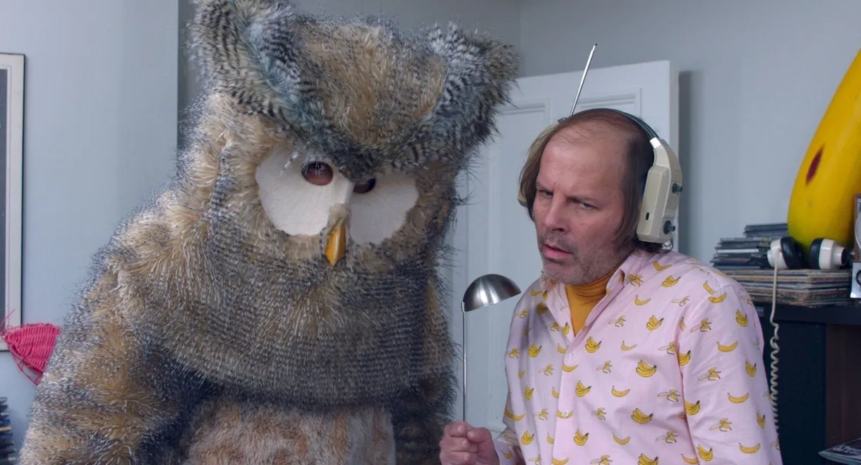 Owl You Need Is Love