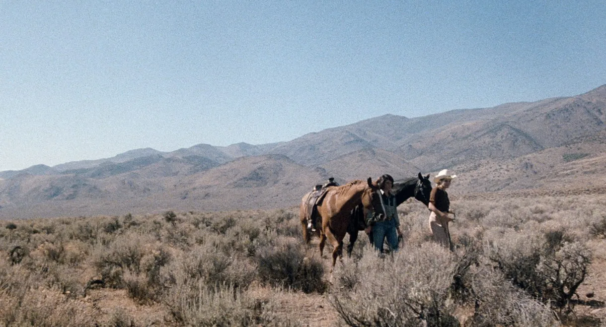 Women in Love: Desert Hearts