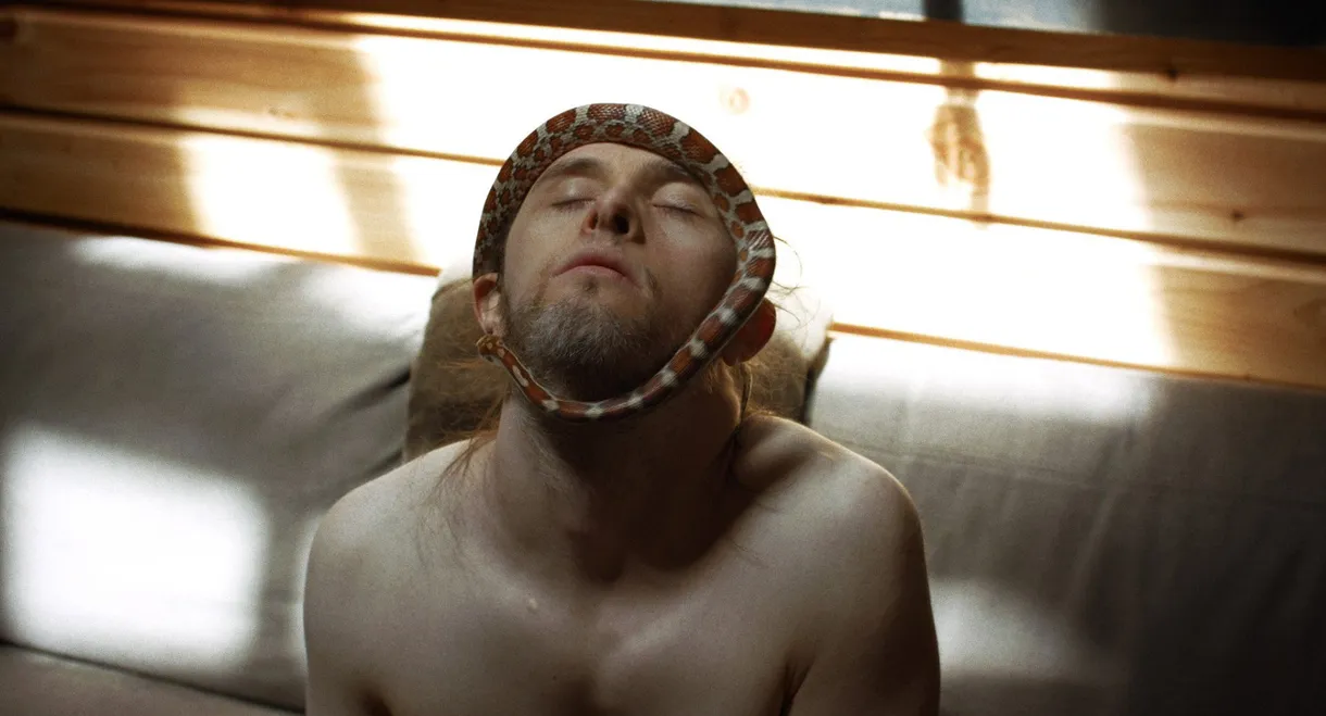 Theo and the Metamorphosis