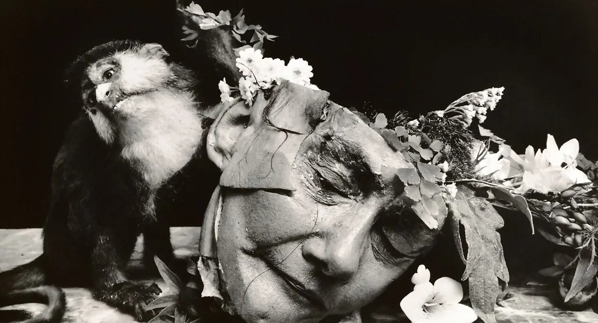 Witkin & Witkin