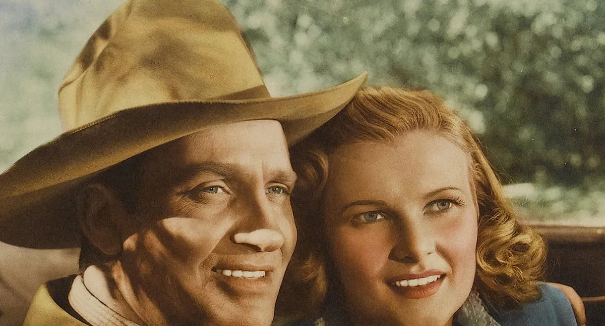 Stardust on the Sage