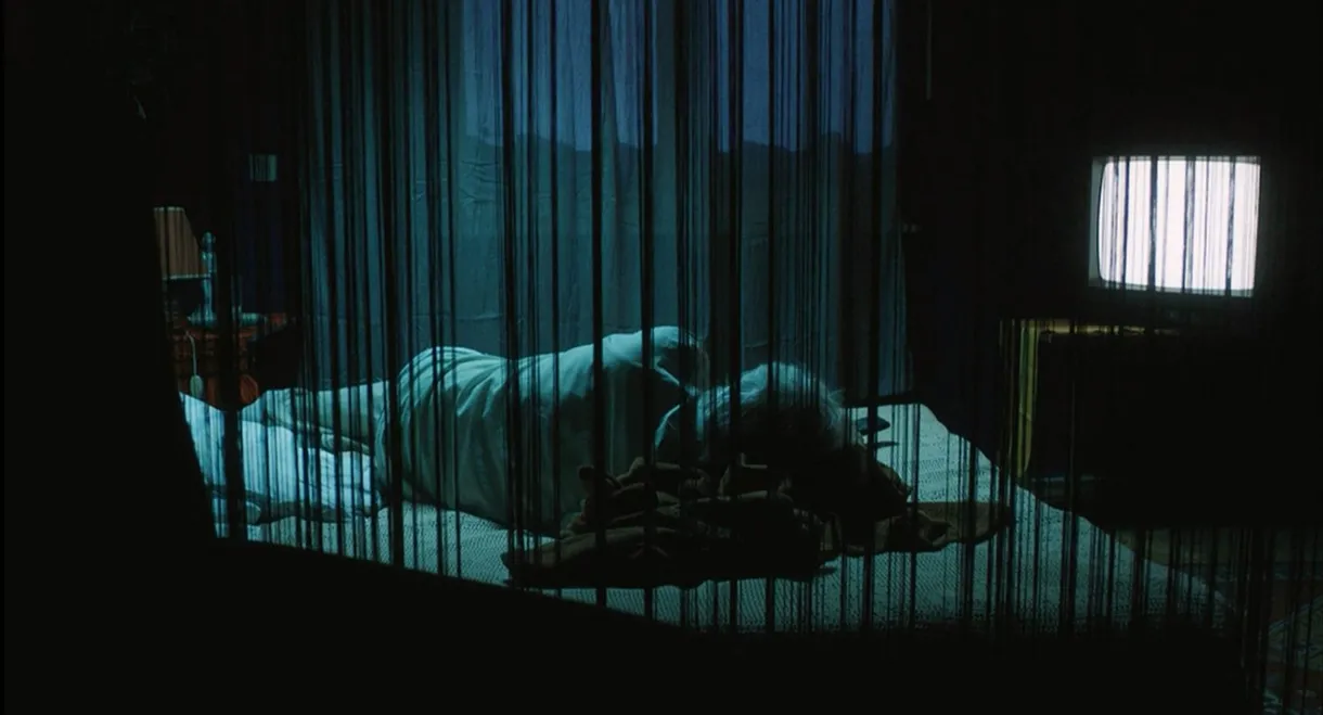 The Longest Night of the Summer