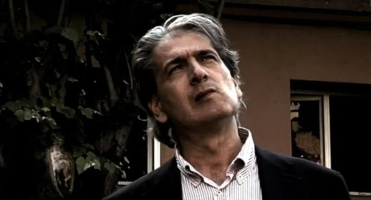 The New Brancaleone's Army