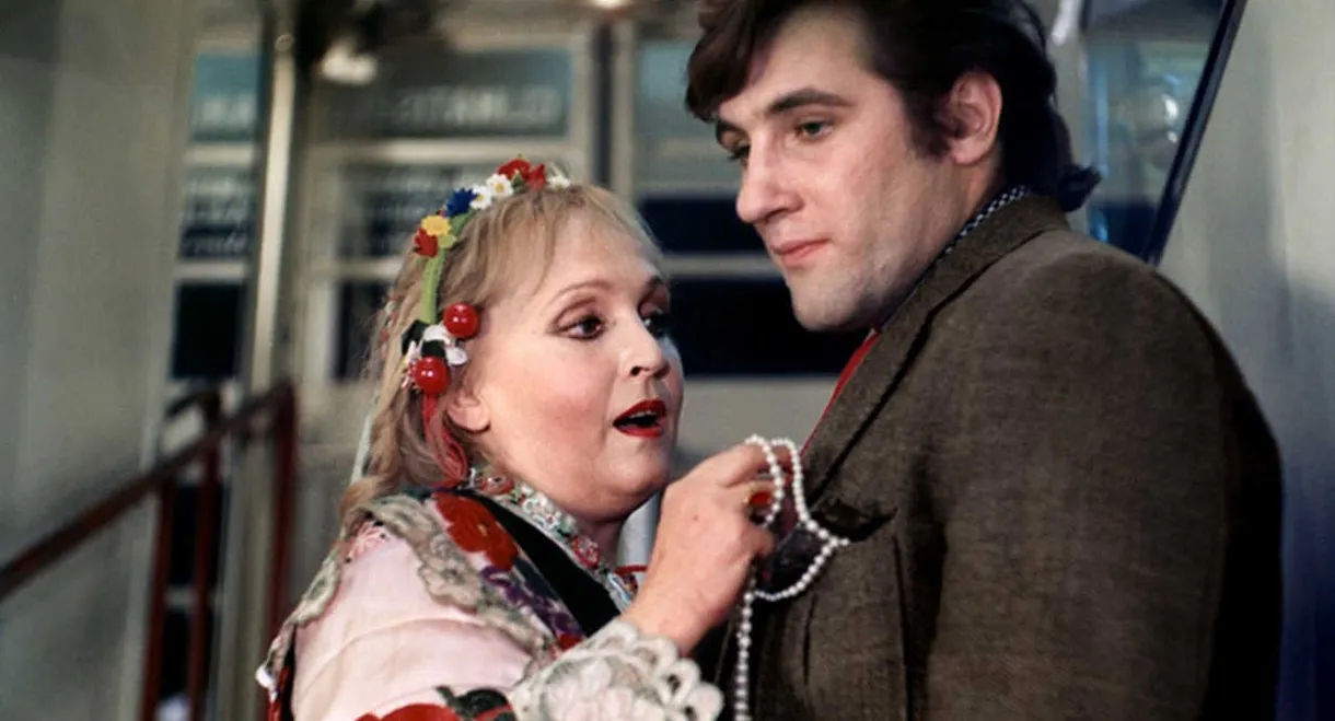 At Night All Cats Are Crazy