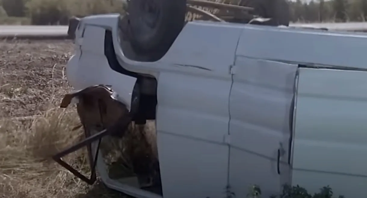 A Summer to Remember