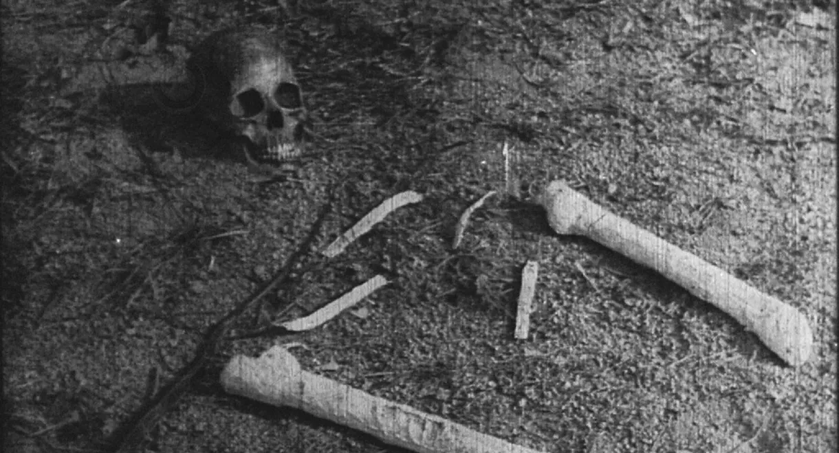 Wailing In Hollow Valley