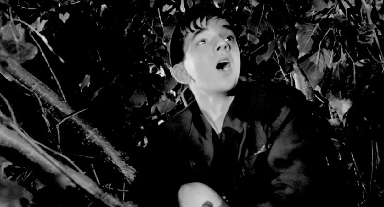 Le Rossignol et les cloches