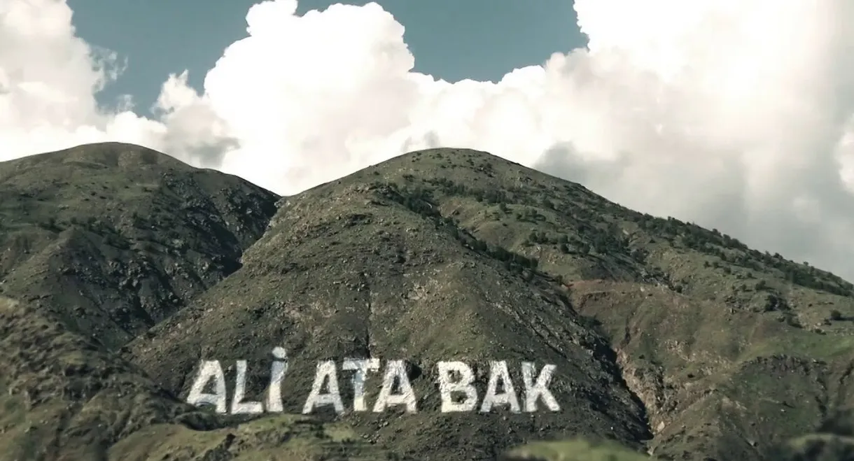 Ali, Look at the Horse