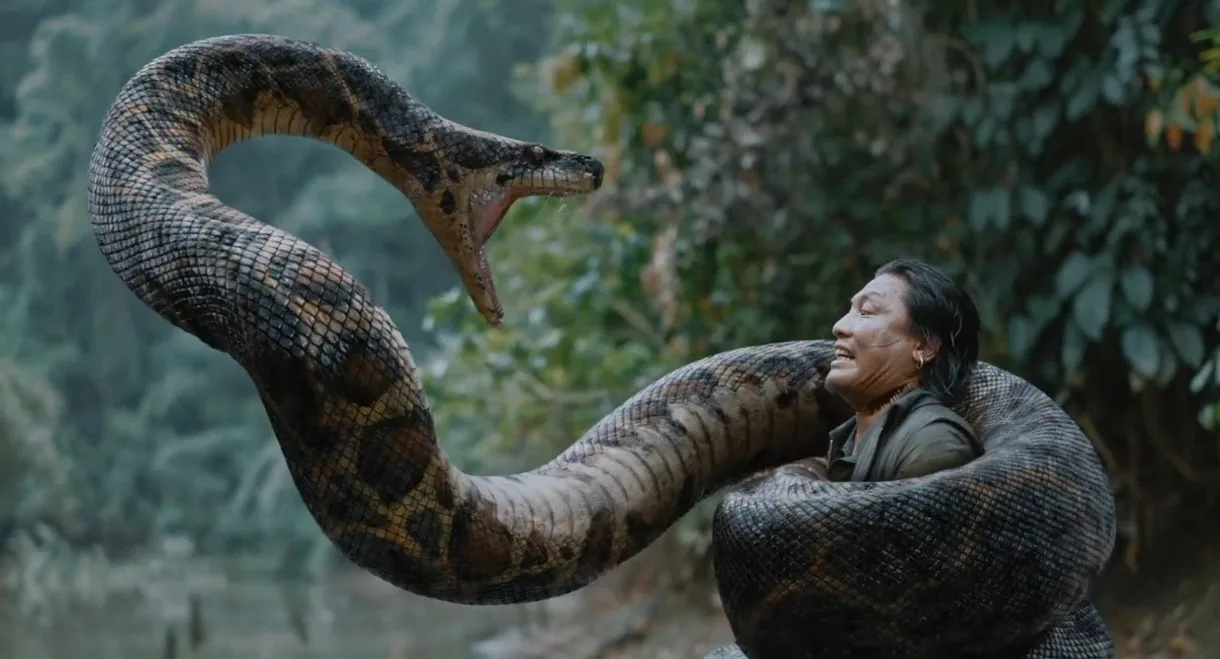 Anaconda