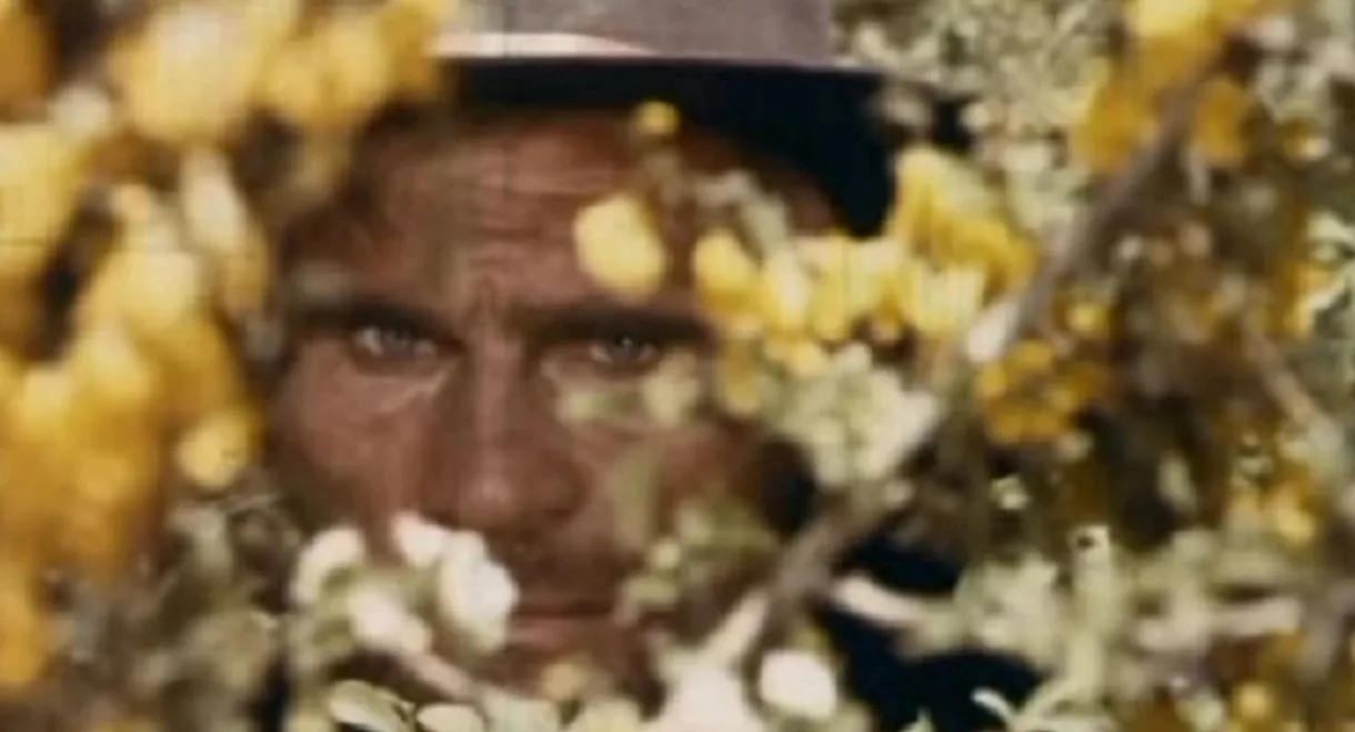 Let's Go And Kill Sartana