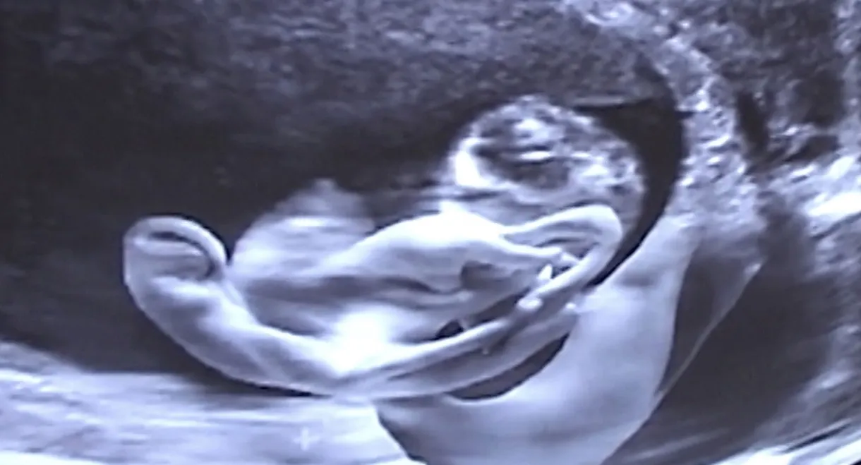 Castration Movie Anthology iii. Year of the Hyaena