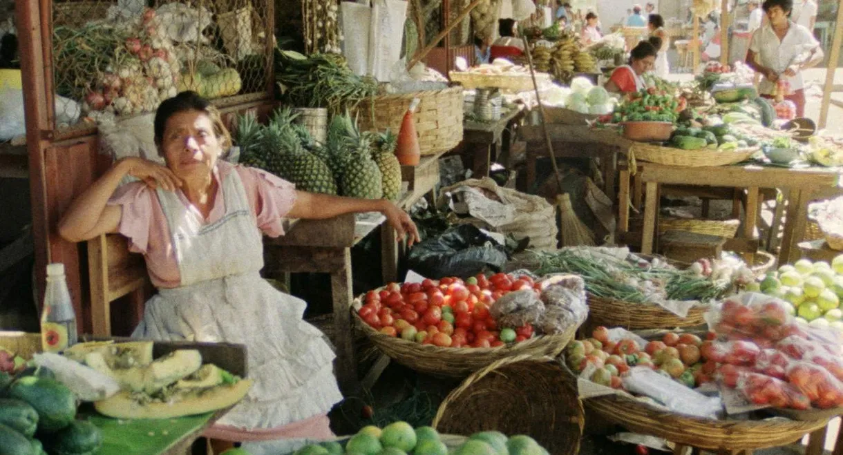 Unterwegs in Nikaragua - Eine filmische Reisebeschreibung für Kinder