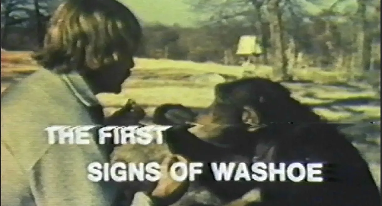 The First Signs of Washoe