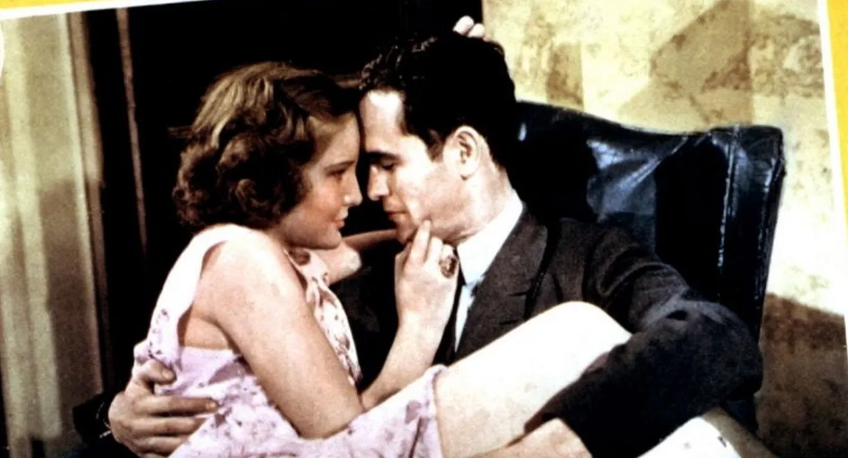 Confessions of a Vice Baron