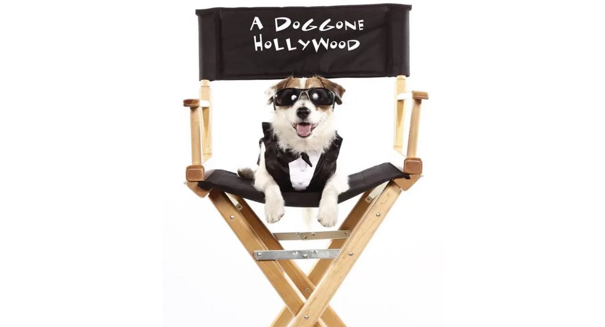 A Doggone Hollywood