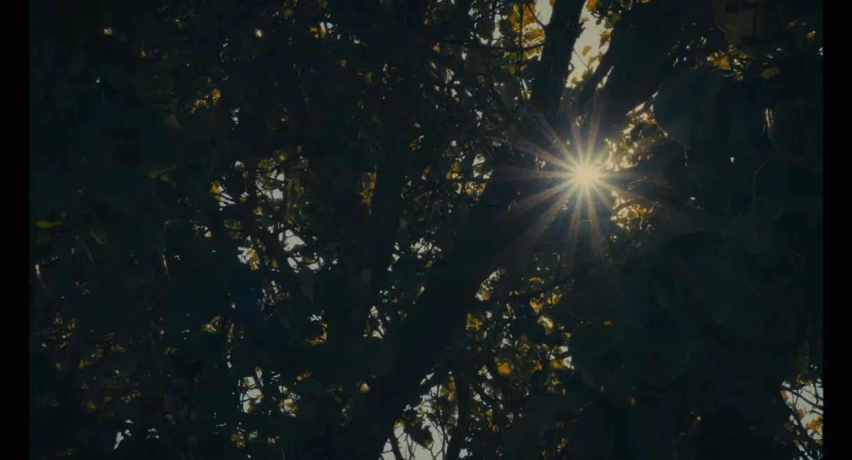 Echoes