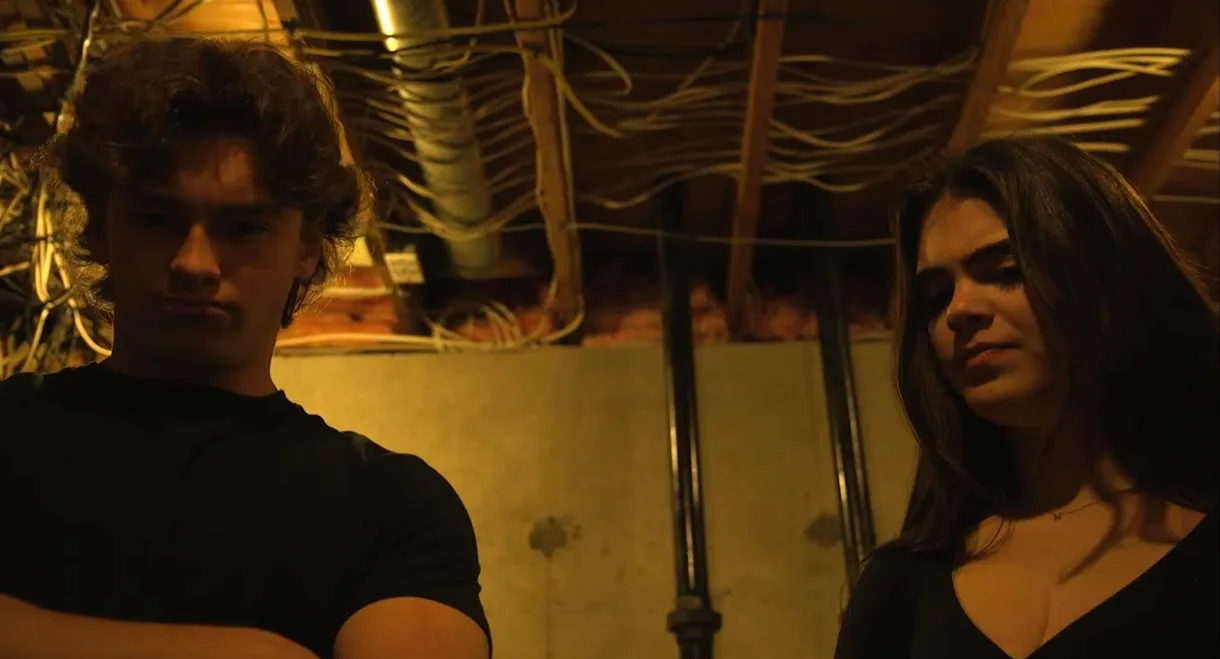 The Boiler Room