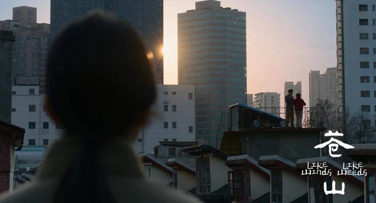 Like Winds, Like Weeds