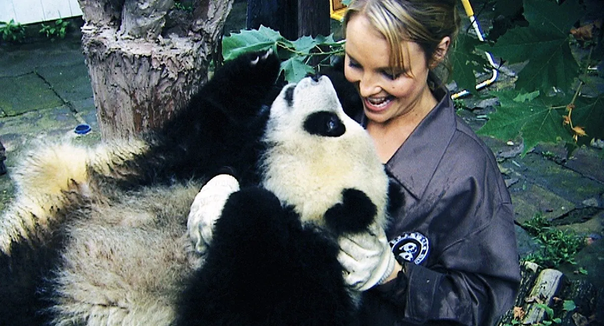 Sneezing Baby Panda: The Movie