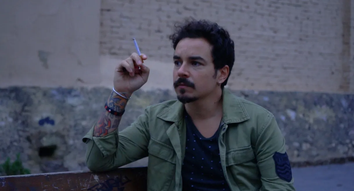 Reflections of a society