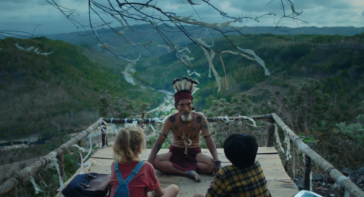 Christmas in the Jungle