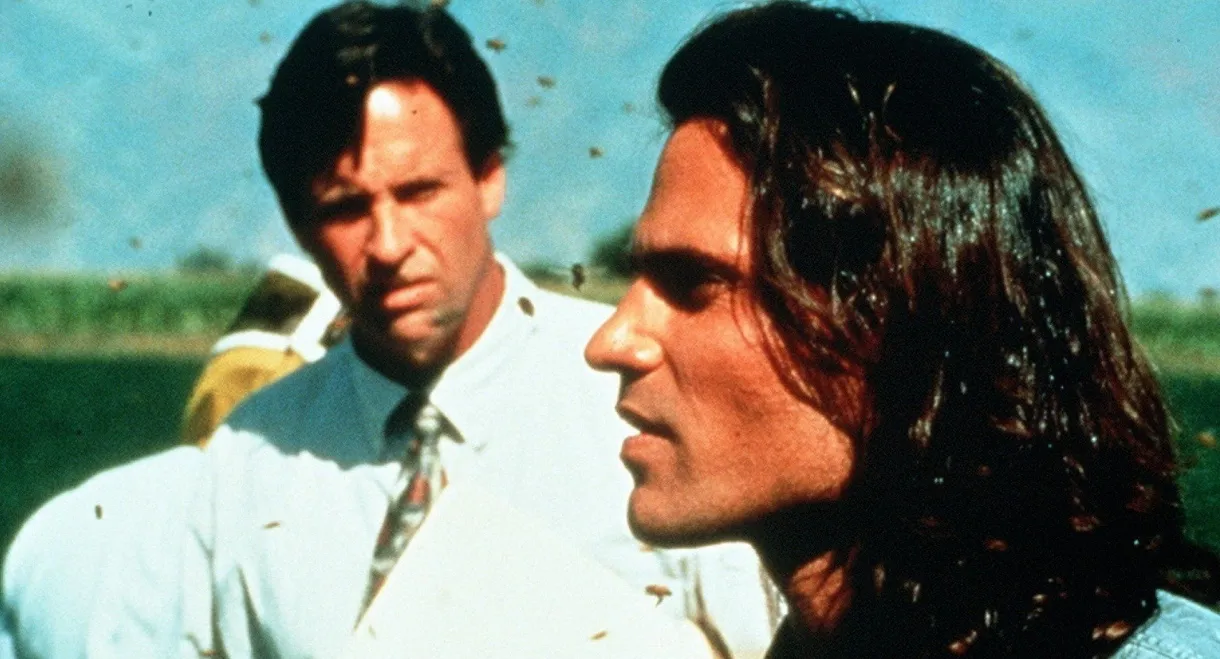 Deadly Invasion: The Killer Bee Nightmare