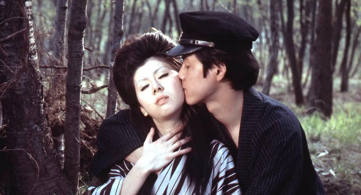 Secret Book: Turbulent Cloud