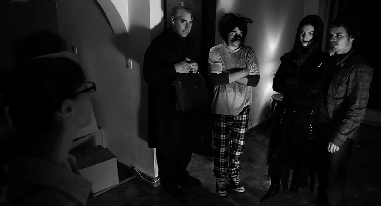 The Night of the Chihuaua