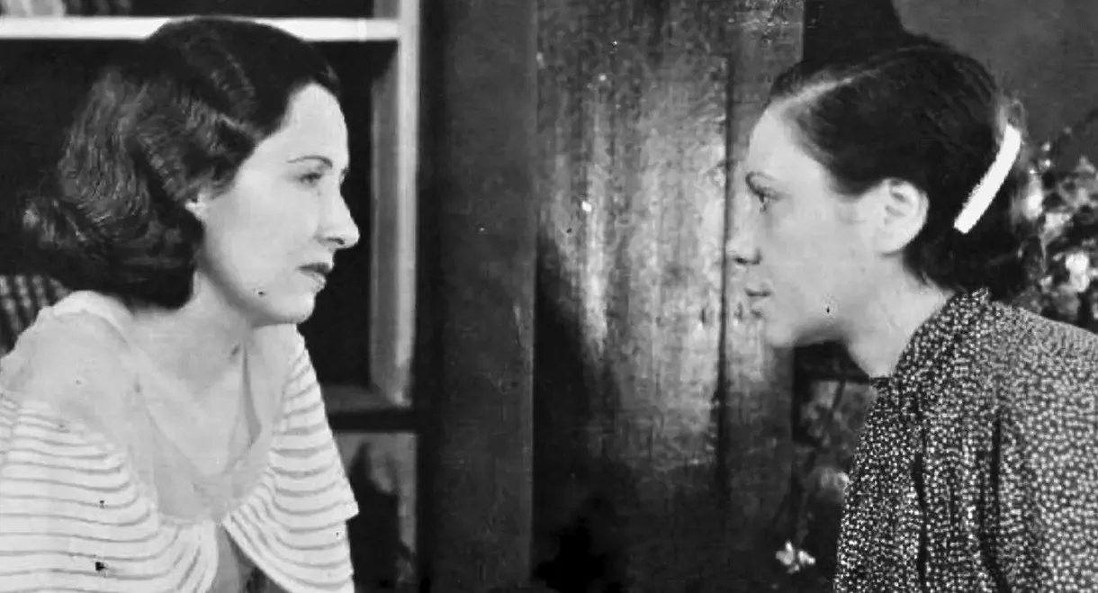 Favela dos Meus Amores