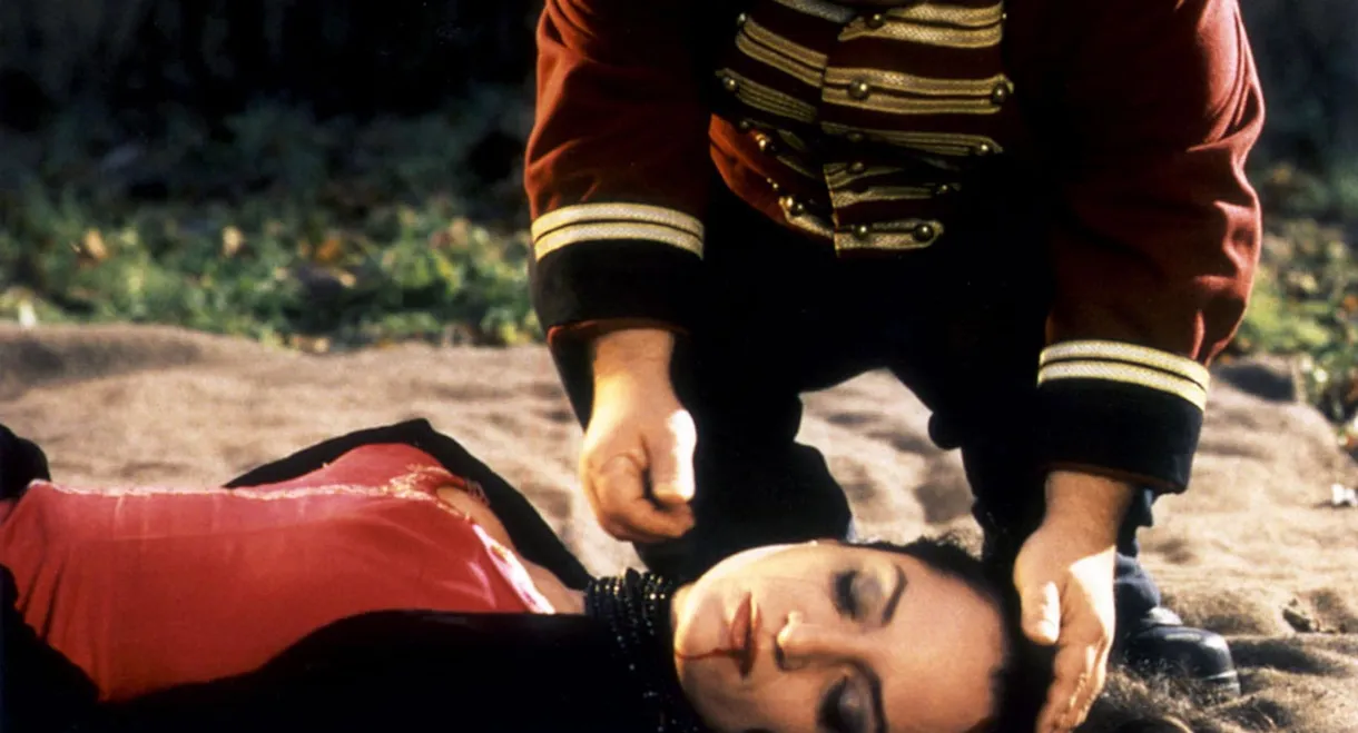 Der Elefant vergißt nie