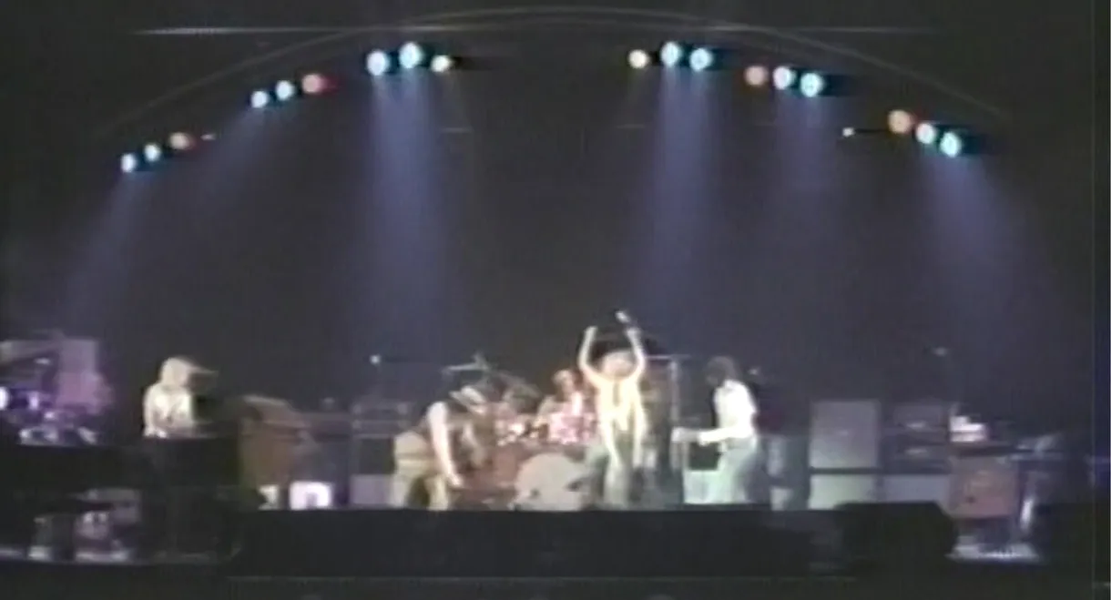 Fleetwood Mac - Live at the Capitol Center