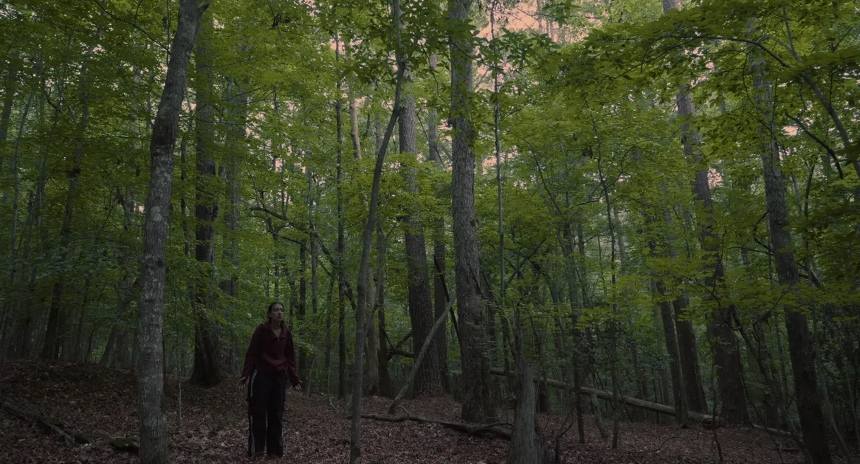 Echoes of the Absent