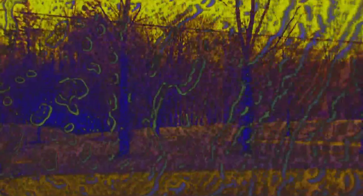 Joose Psychedelia Test