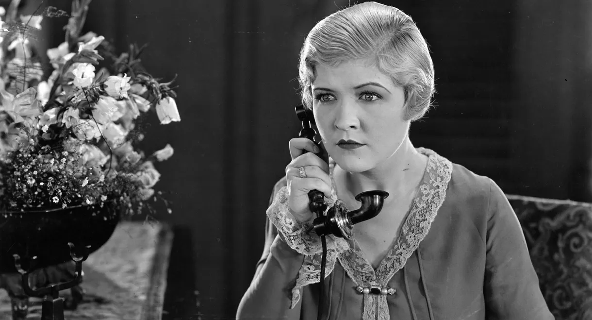 Butterflies in the Rain