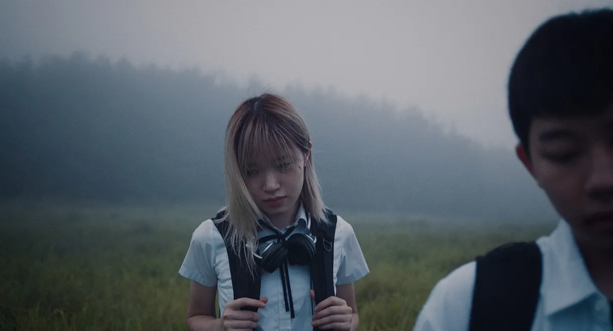 You know, there are ghosts under the tree