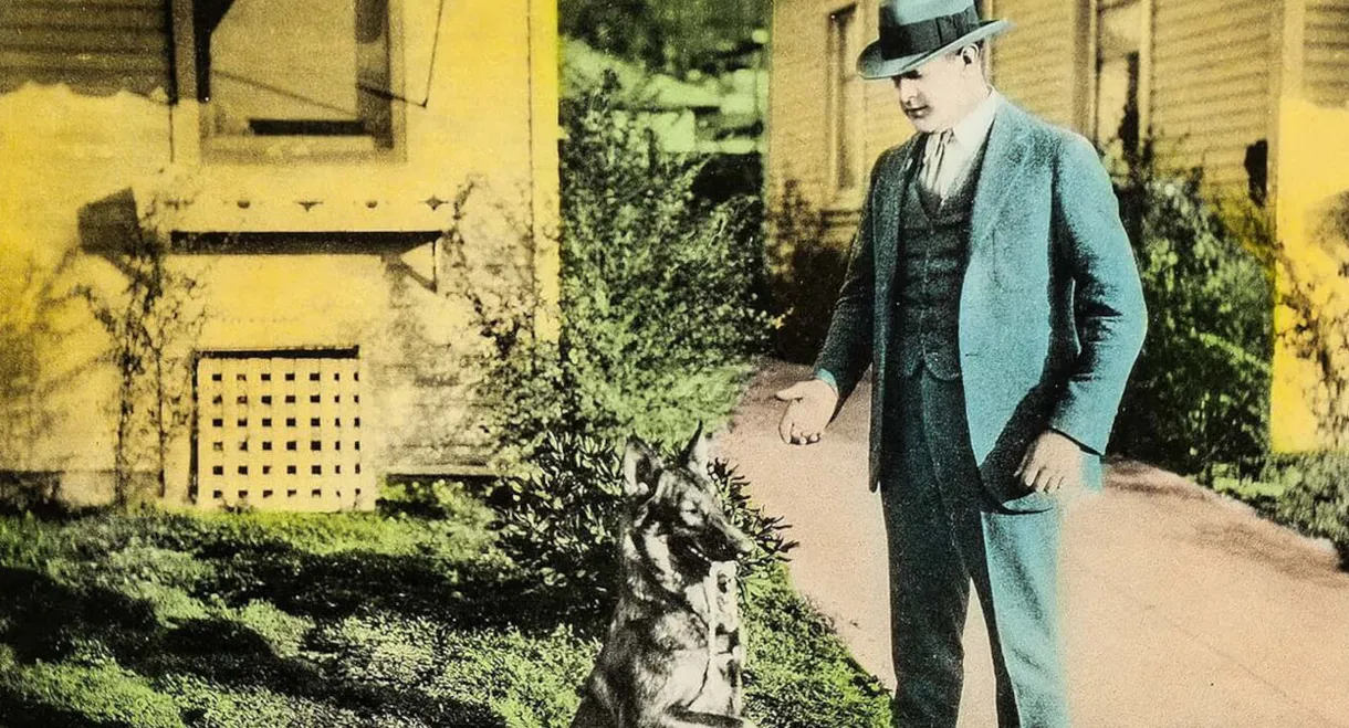 A String of Diamonds