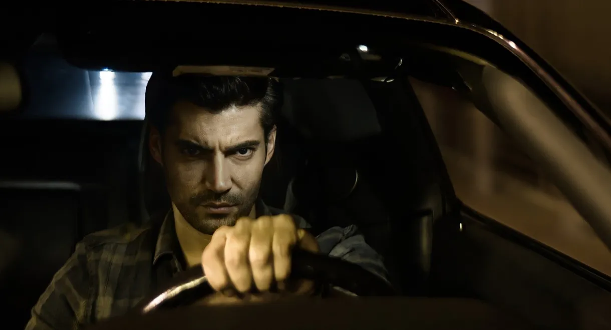 Adanis: Kutsal Kavga