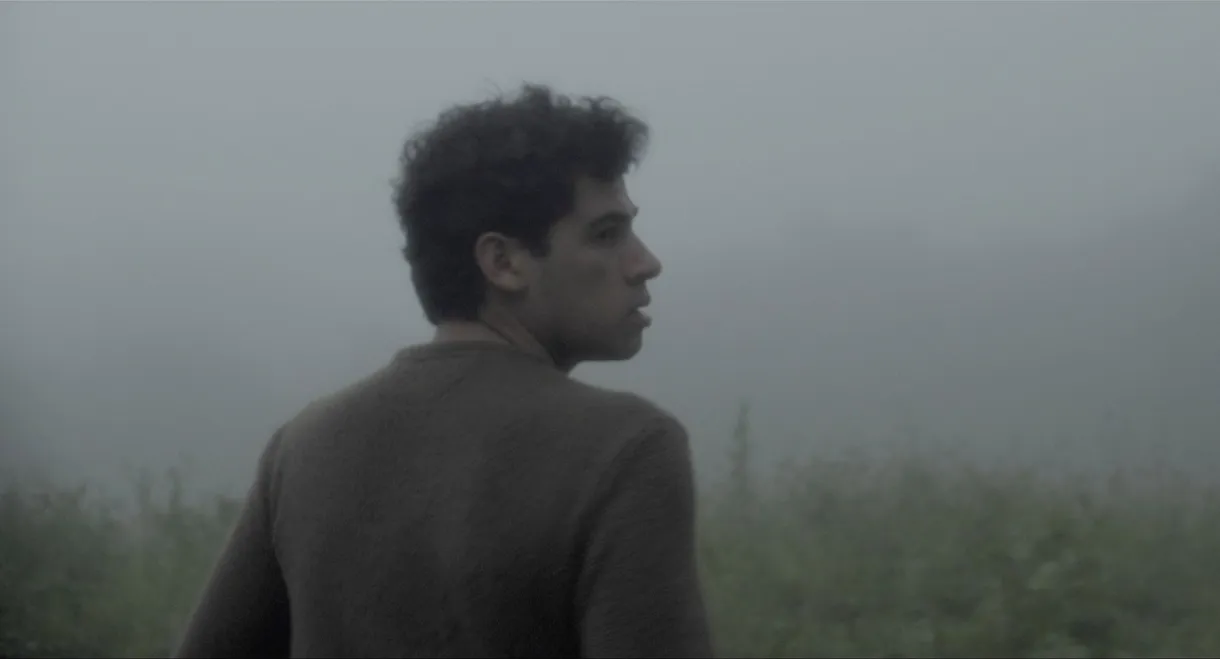 As the River, It Flows