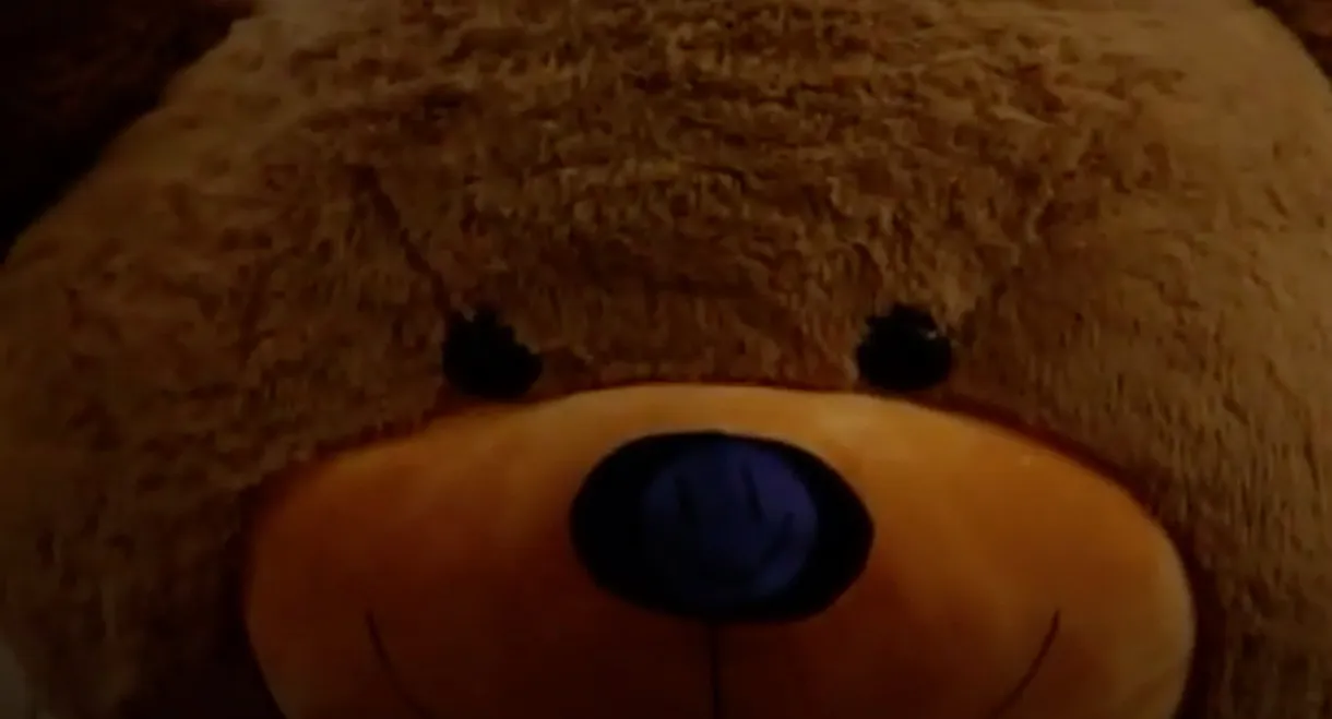 Steven's Last Night in Town