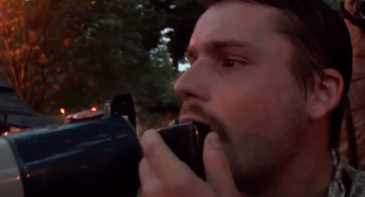 Stained Glass Rainbows