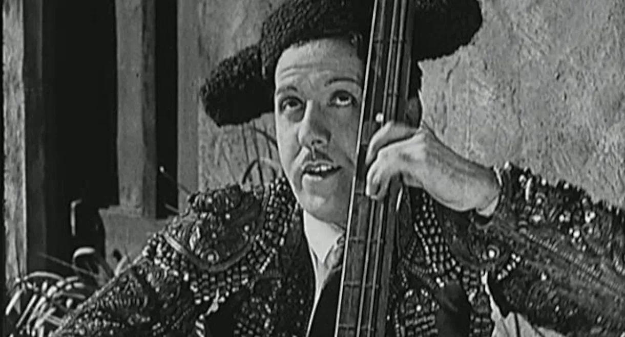 Brilliantine the Bull Fighter