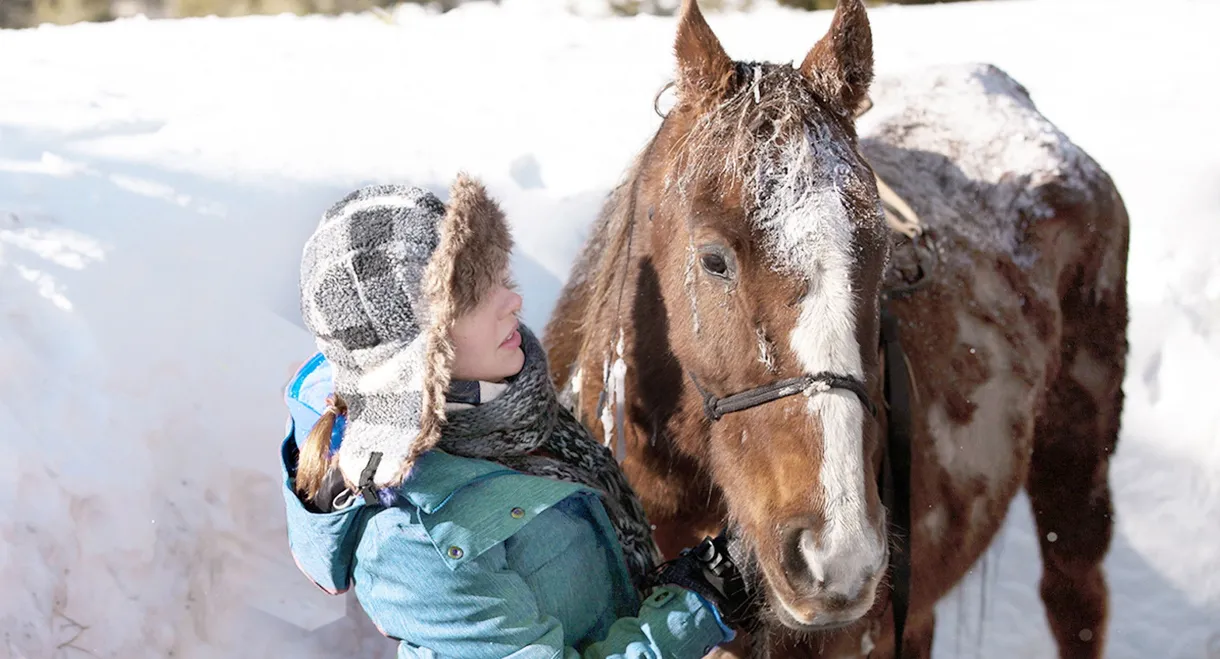 The Horses of McBride