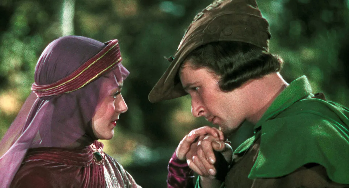 Welcome to Sherwood! The Story of 'The Adventures of Robin Hood'