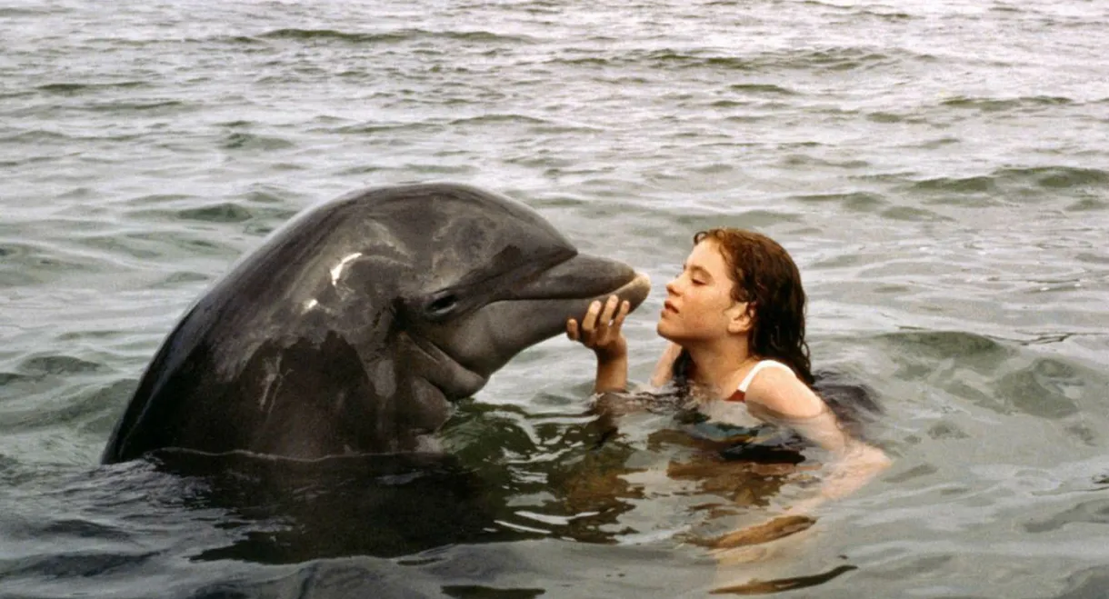 Tadpole and the Whale