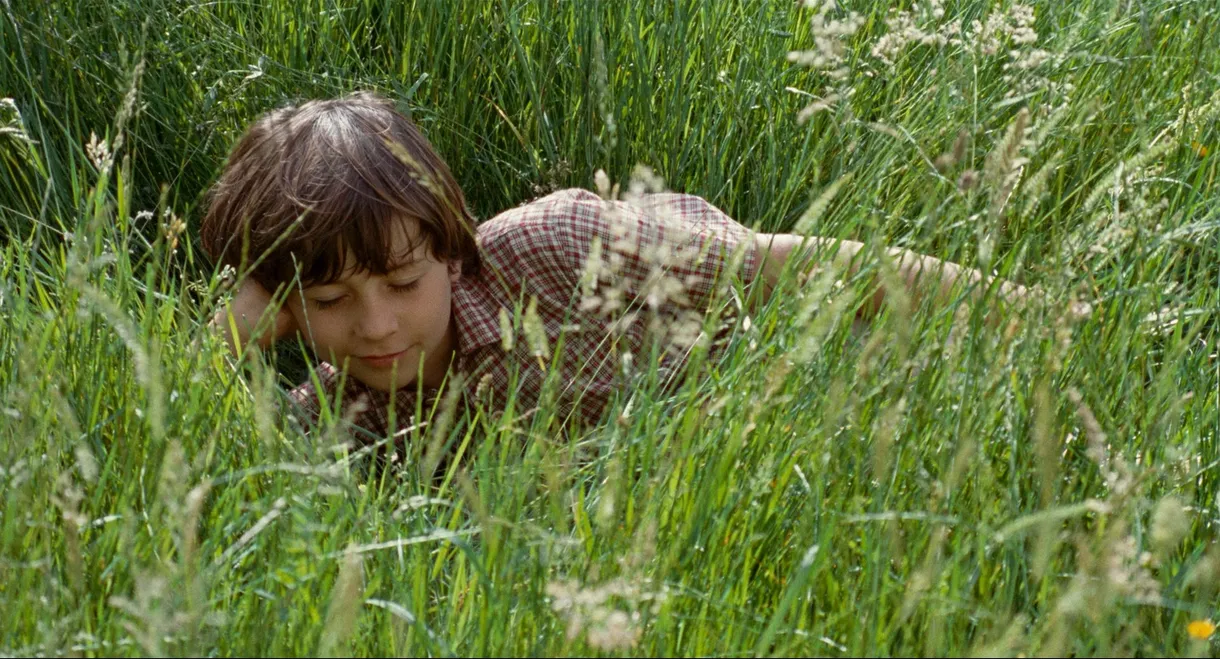 The Field of Enchantment